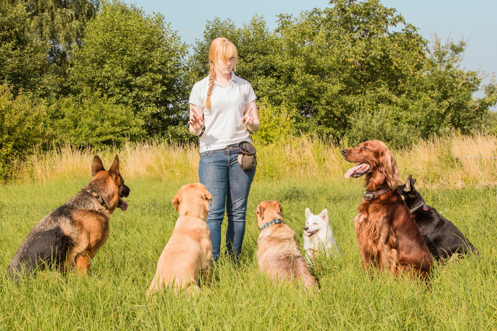 Eine Frau steht draußen vor mehreren Hunden.