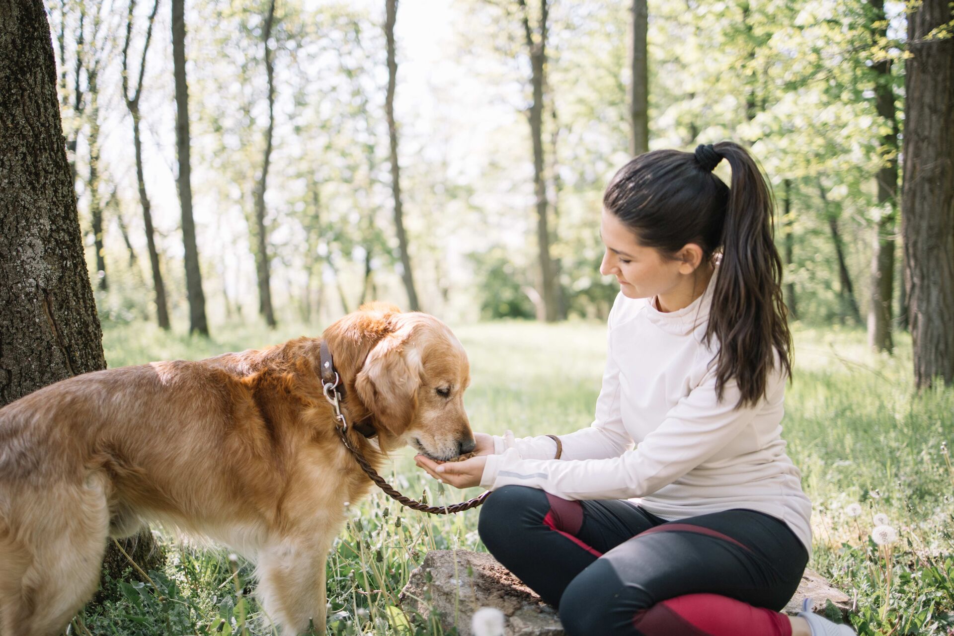 Eine sportlich gekleidete Frau füttert ihren Hund im Wald.