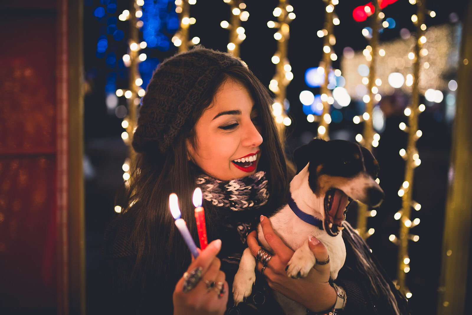 Silvester mit Hund das sagen die Profis