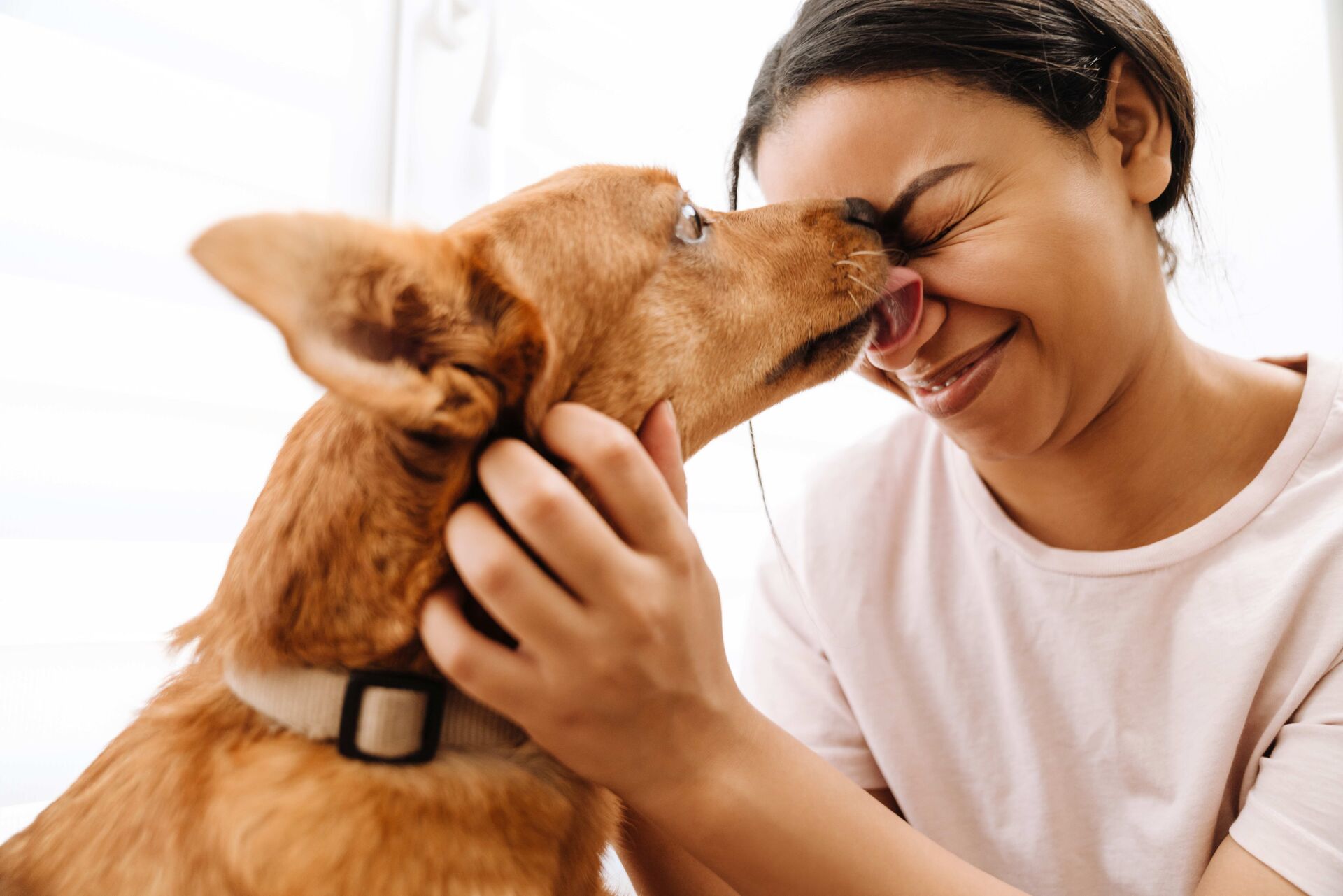 Ein Hund leckt einer Frau im Gesicht ab.