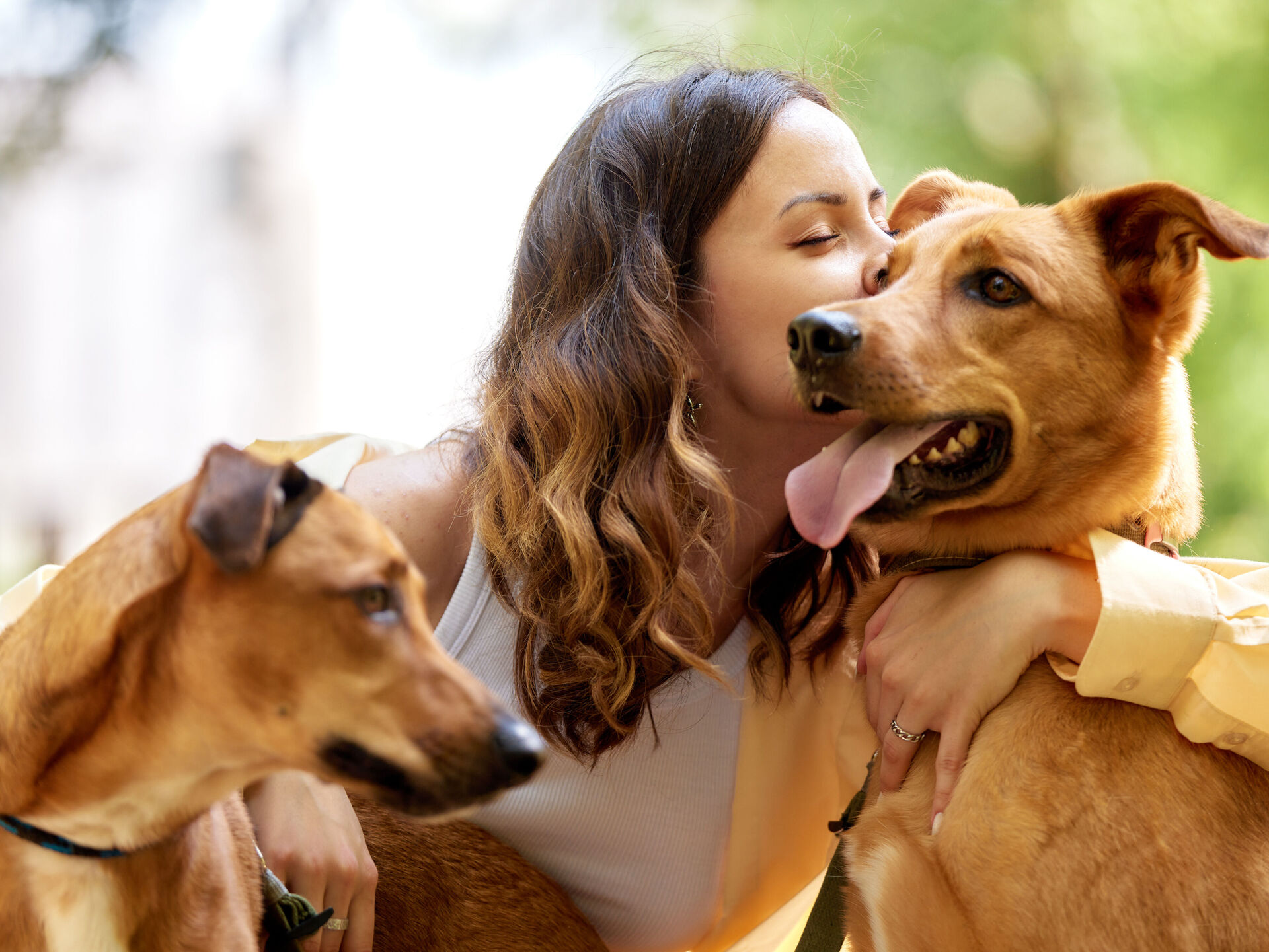 Expertentipps im Video: Hunde erziehen