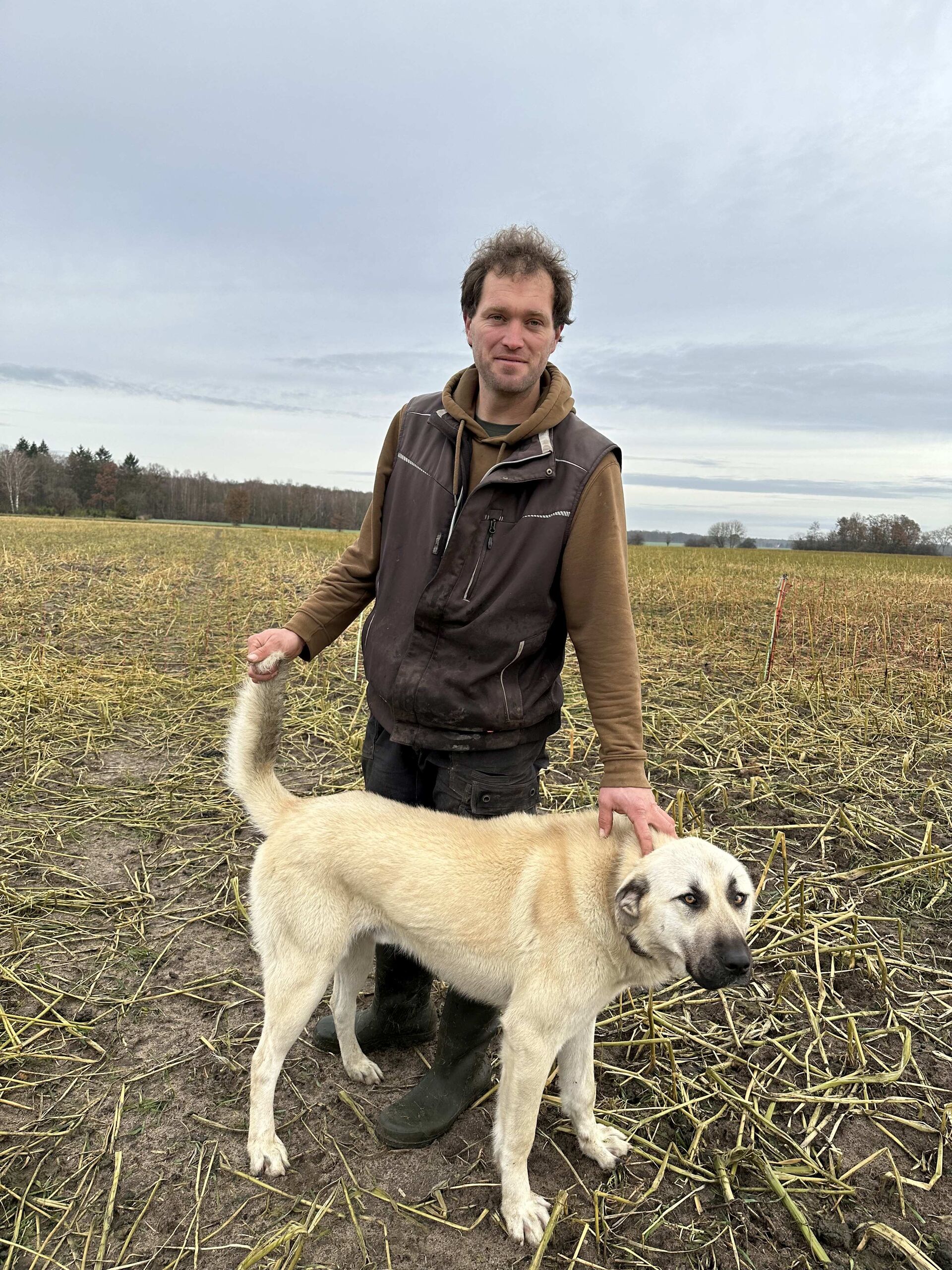 Schäfer Florian Stümpel mit einem seiner Kangal-Herdenschutzhunde