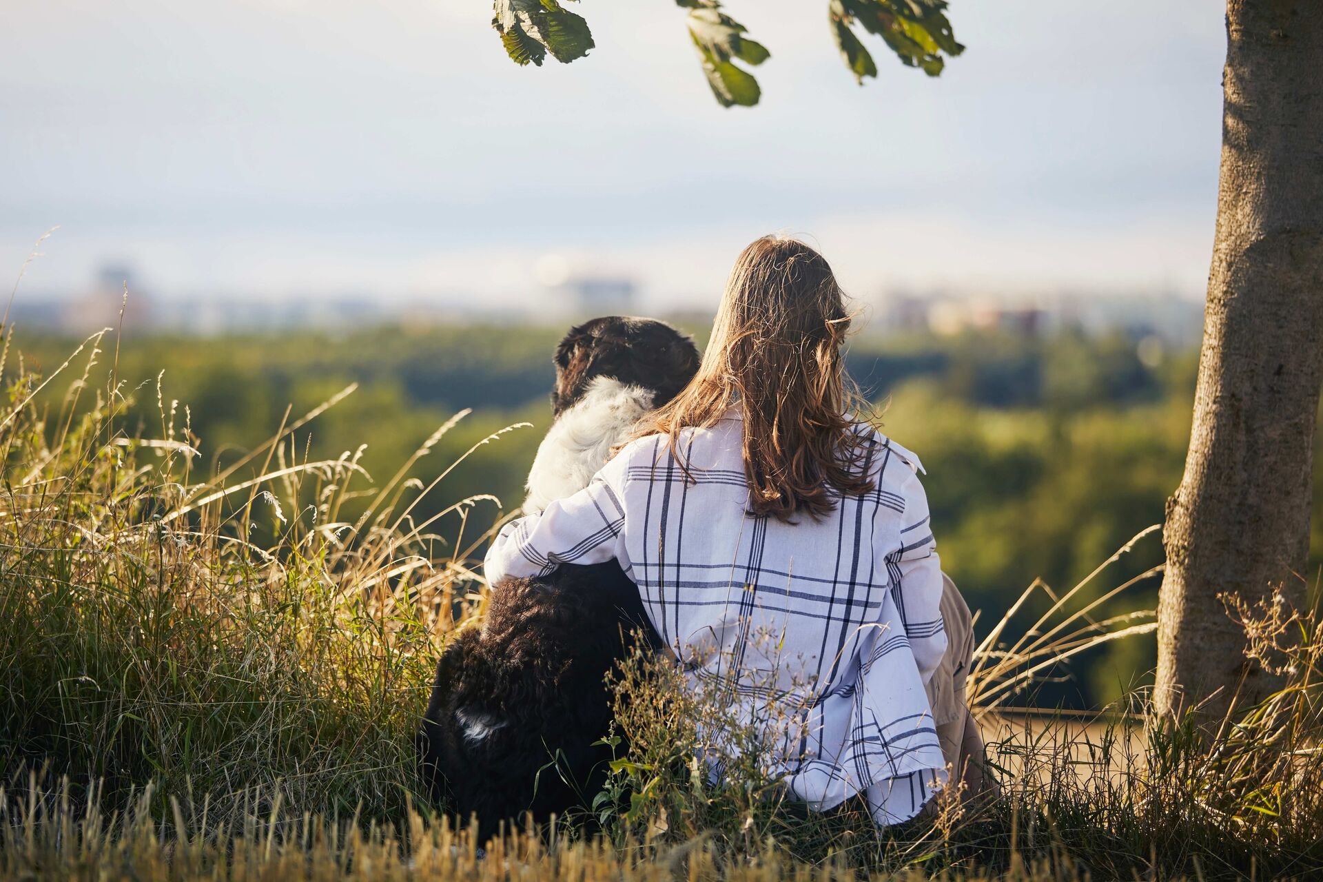 Ein Hund und eine Frau sitzen nebeneinander auf einem Berg im Gras, die Frau legt den Arm um den Hund.